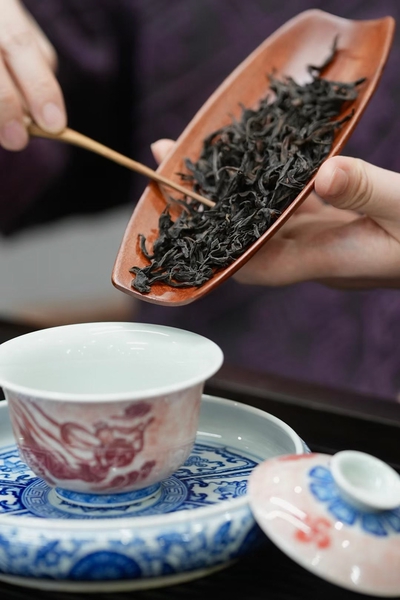 用茶则取出干茶准备冲泡